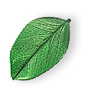 floating_leaf_01 https://foruse.am/wp-content/uploads/2025/07/floating_leaf_01.png